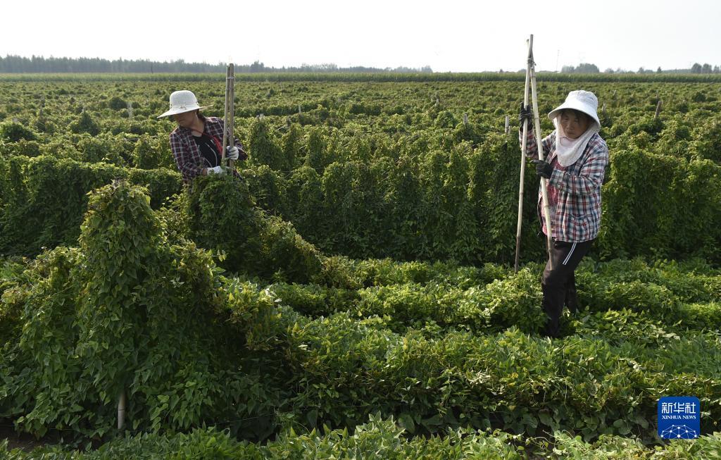 注册送分捕鱼可以下分